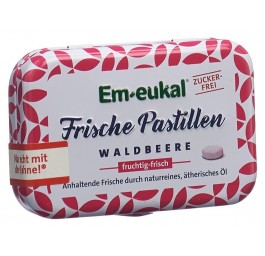 SOLDAN EM-EUKAL pastilles baies s sucre xyl 20 g