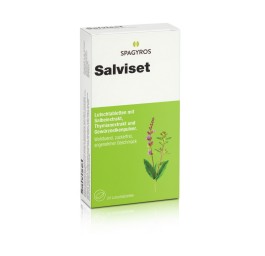 SALVISET pastilles 24 pce