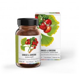 SEKOYA Ginkgo biloba & Ginseng gélules fl 60 pce