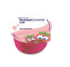 NUTRINI Creamy Fruit fruit des bois 48 x 100 g