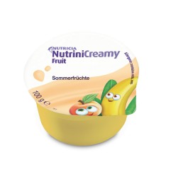 NUTRINI Creamy Fruit fruits d'été 48 x 100 g