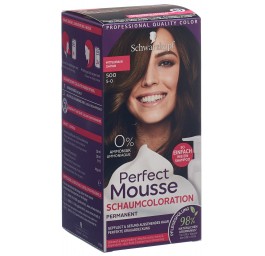 PERFECT MOUSSE 500 châtain moyen