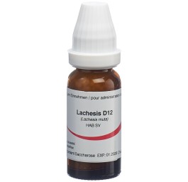 OMIDA lachesis glob 12 D 14 g