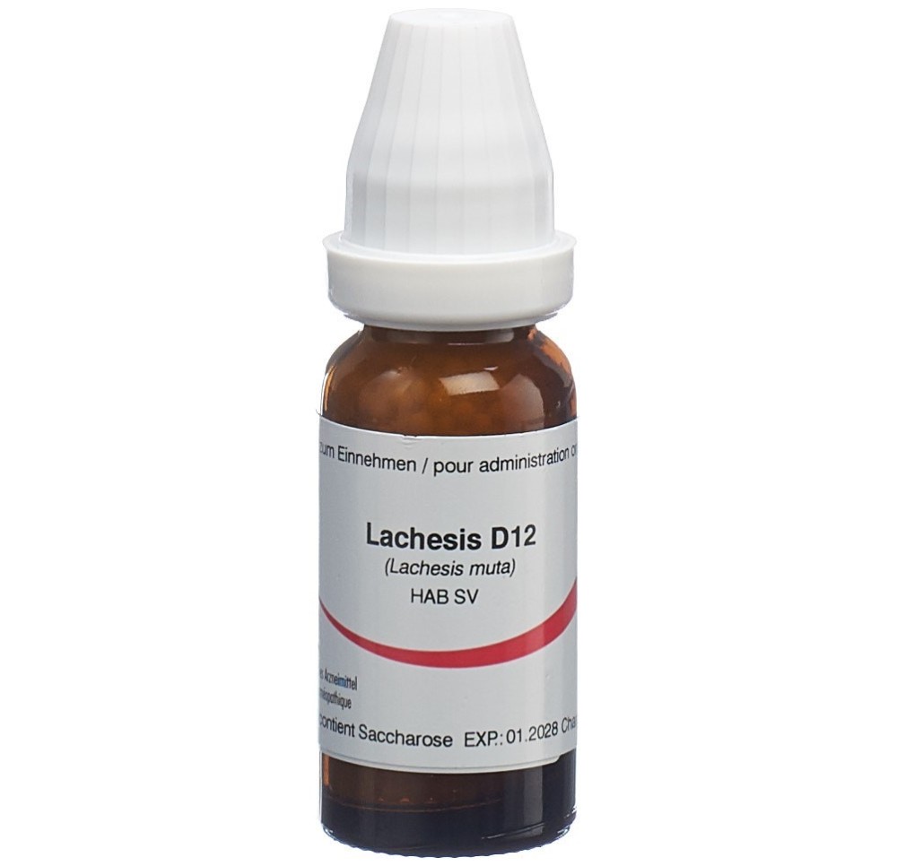 OMIDA lachesis glob 12 D 14 g