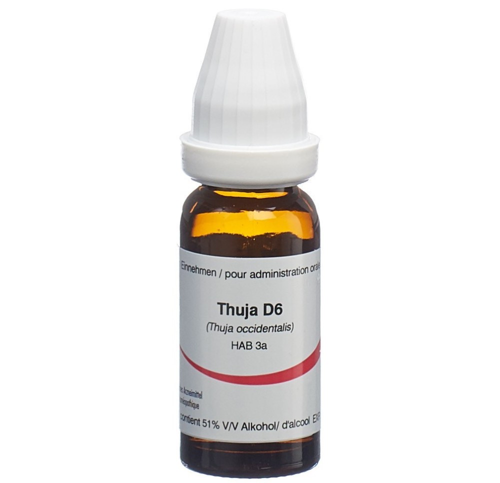 OMIDA thuja glob 6 D 14 g OMIDA thuja glob 6 D 14 g