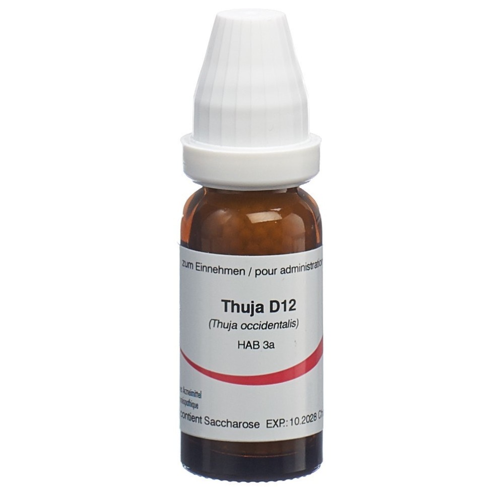 OMIDA thuja glob 12 D 14 g OMIDA thuja glob 12 D 14 g