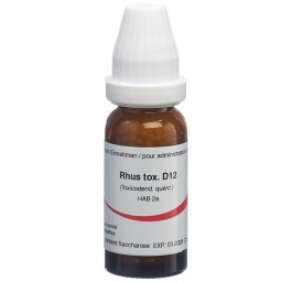 OMIDA rhus toxicodendron glob 12 D 14 g