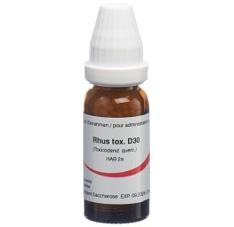 OMIDA rhus toxicodendron glob 30 D 14 g