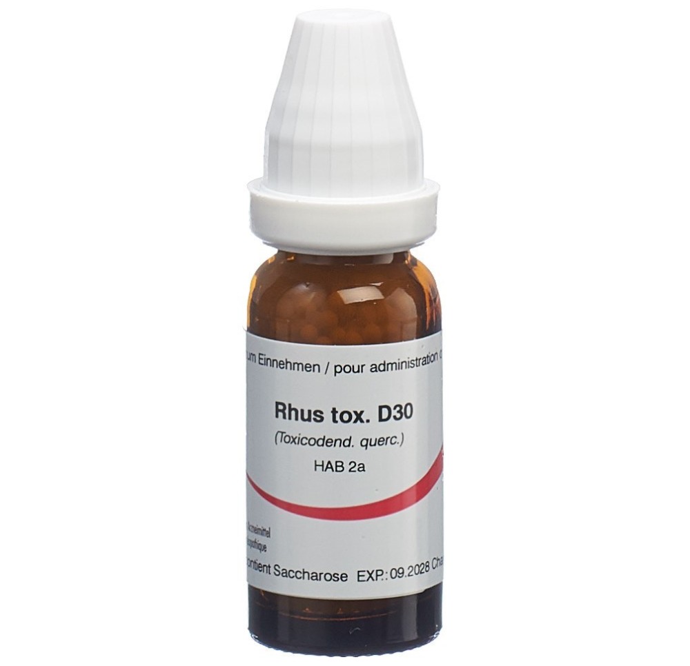 OMIDA rhus toxicodendron glob 30 D 14 g OMIDA rhus toxicodendron glob 30 D 14 g