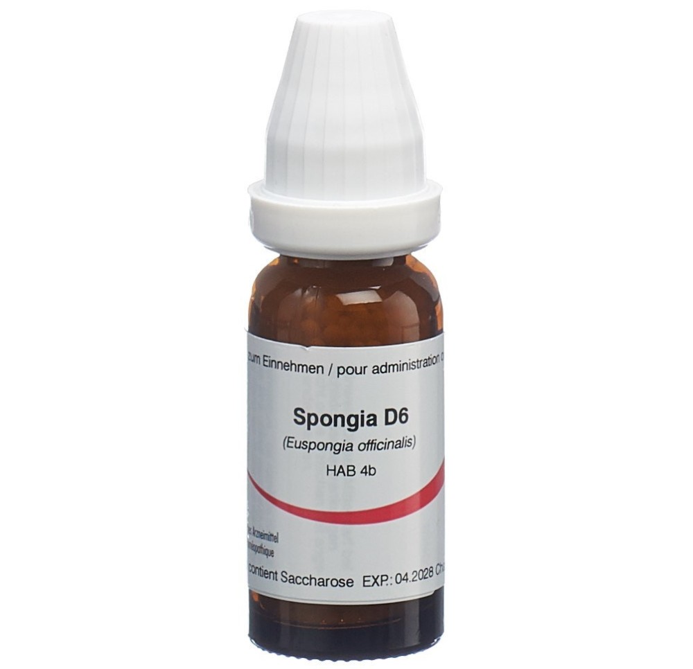 OMIDA spongia glob 6 D 14 g OMIDA spongia glob 6 D 14 g