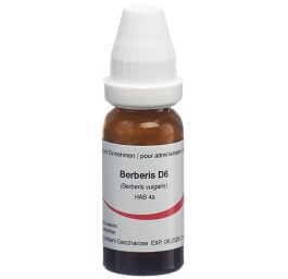 OMIDA berberis glob 6 D 14 g