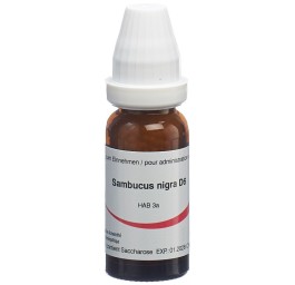 OMIDA sambucus nigra glob 6 D 14 g