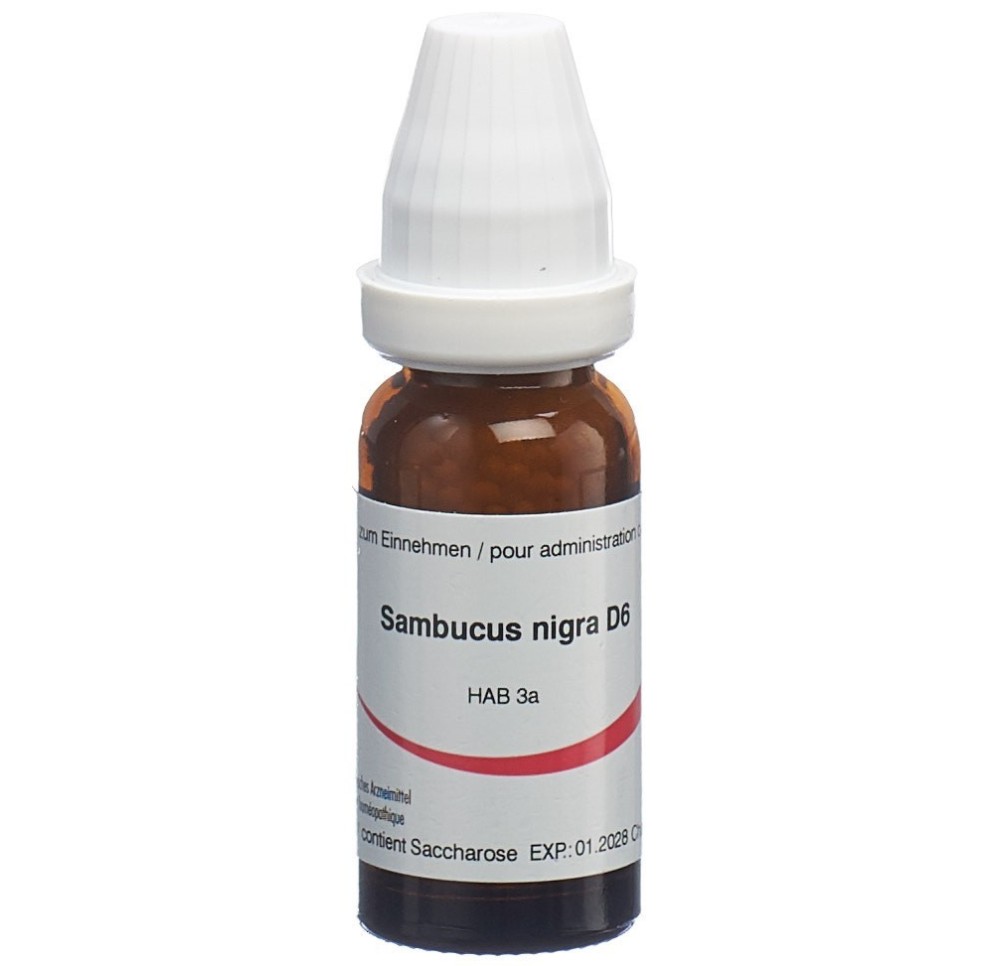 OMIDA sambucus nigra glob 6 D 14 g