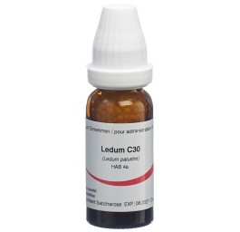 OMIDA ledum glob 30 C 14 g