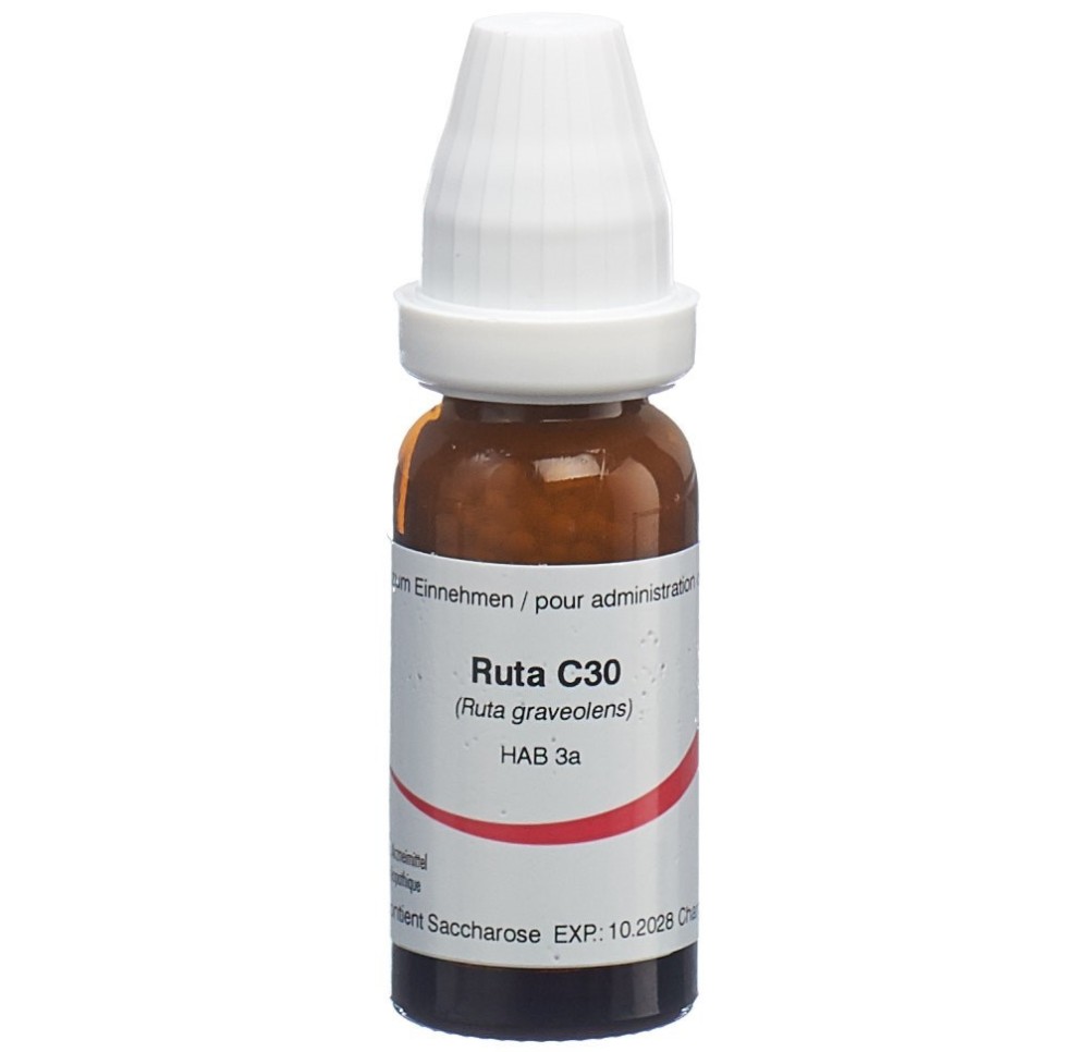 OMIDA ruta glob 30 C 14 g
