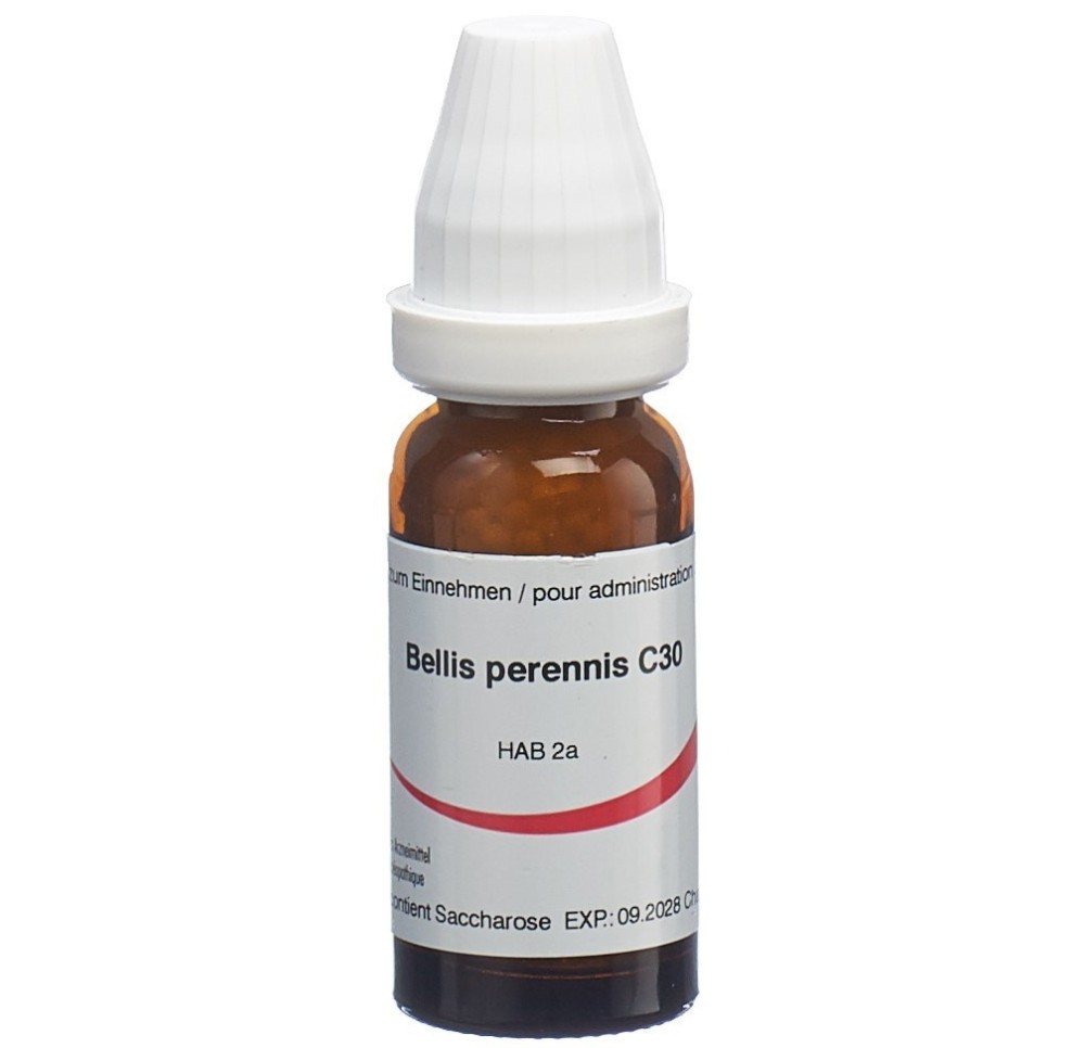 OMIDA bellis perennis glob 30 C 14 g OMIDA bellis perennis glob 30 C 14 g