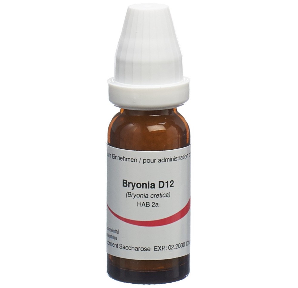OMIDA bryonia glob 12 D 14 g