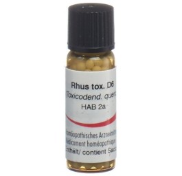 OMIDA rhus toxicodendron glob 6 D 2 g