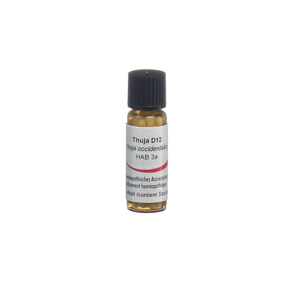 OMIDA thuja glob 12 D 2 g