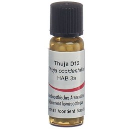OMIDA thuja glob 12 D 2 g