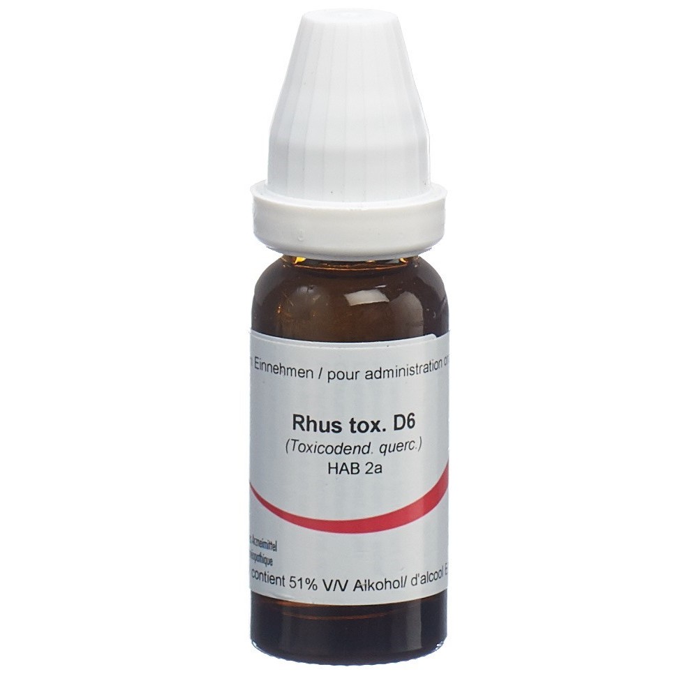 OMIDA rhus toxicodendron liq 6 D fl 15 ml