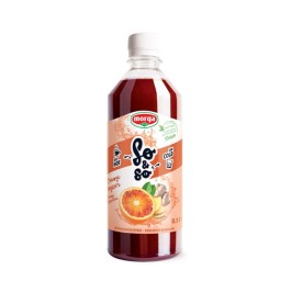 SO&SO Orange-gingembre conc avec stévia fl 5 dl