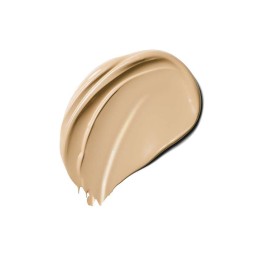 LAUDER Dw Max Cover M Up No 2n1