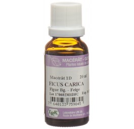 LRK Macérat-mère figue gouttes 1 D 20 ml