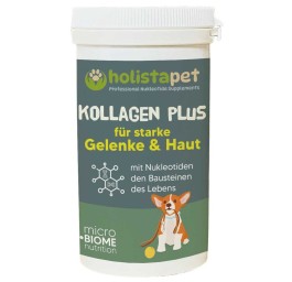 HOLISTAPET Dog pdr collagène plus bte 100 g