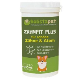 HOLISTAPET Dog pdr dents en forme plus bte 100 g