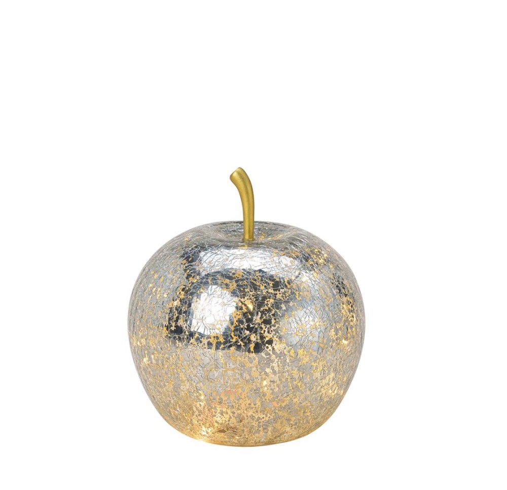 HERBORISTERIA pomme en verre argent avec 5 LED