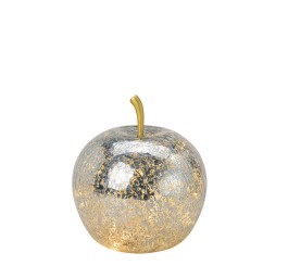 HERBORISTERIA pomme en verre argent avec 5 LED