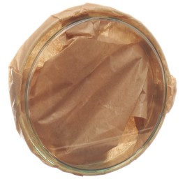 ASSISTENT boîte de Petri 10x2cm verre