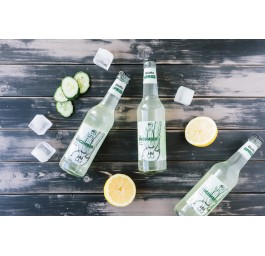 BIOTTA Sprizz Concombre-Citron 24 x 3.3 dl