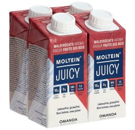 MOLTEIN Juicy fruits des bois 4 tétra 200 ml