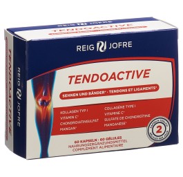 TENDOACTIVE caps blist 60 pce