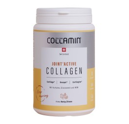 COLLAMIN Joint'Active Collagen 28 portions 480 g