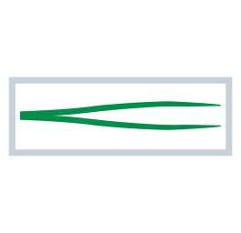 MEDISET pince anatomique 12.5cm vert 20 pce