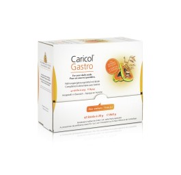 CARICOL Gastro liq 42 stick 20 g