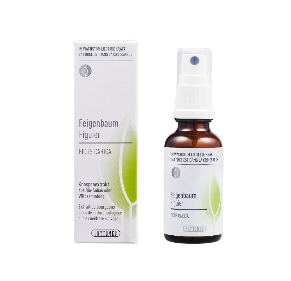PHYTOMED Extrait bourgeon Figuier spr 30 ml