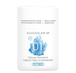 PHYTOMED SCHÜSSLER No1 cpr 12 D s lactose 100 g