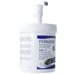 PERNATON gel avec pompe bte 1 kg