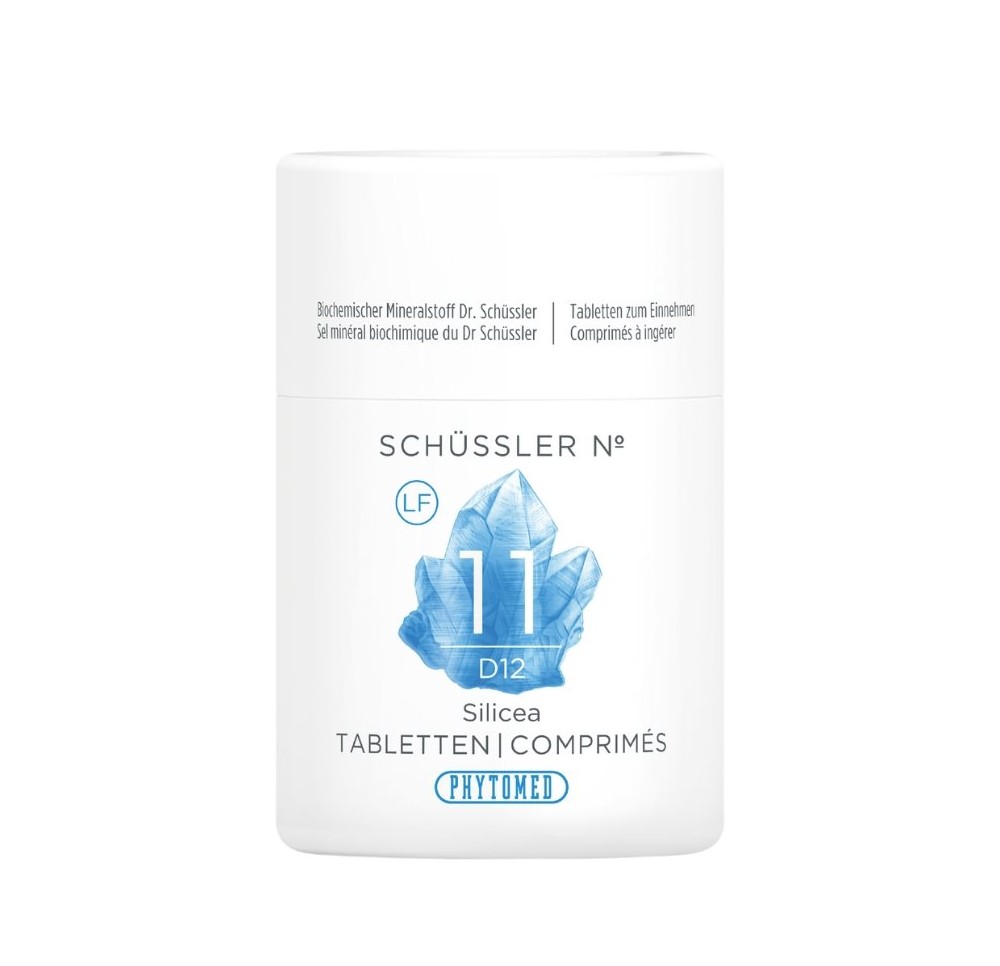 PHYTOMED SCHÜSSLER No11 cpr 12 D s lactos 100 g