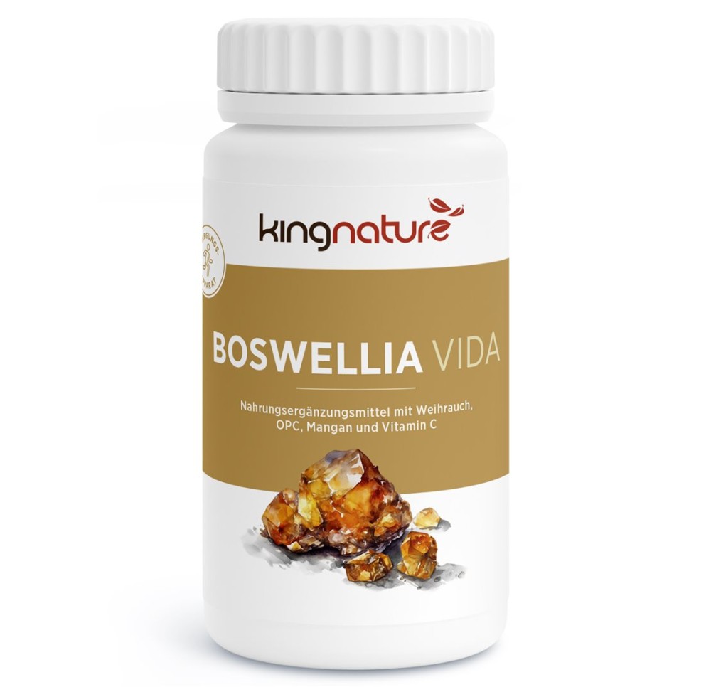 KINGNATURE Boswellia Vida caps 100 mg bte 90 pce