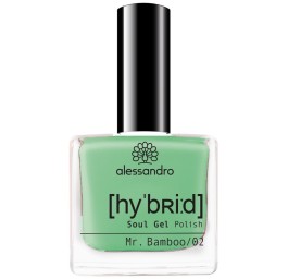 ALESSAN Hybrid Soul Gel Polish Mr Mamboo 8 ml