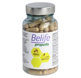 BELIFE Propolis gélules bte 120 pce