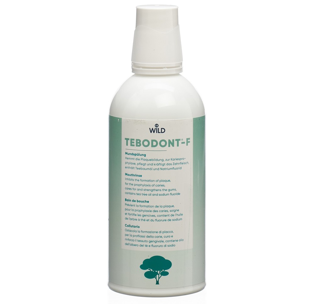 TEBODONT-F bain bouche fl Pet 500 ml