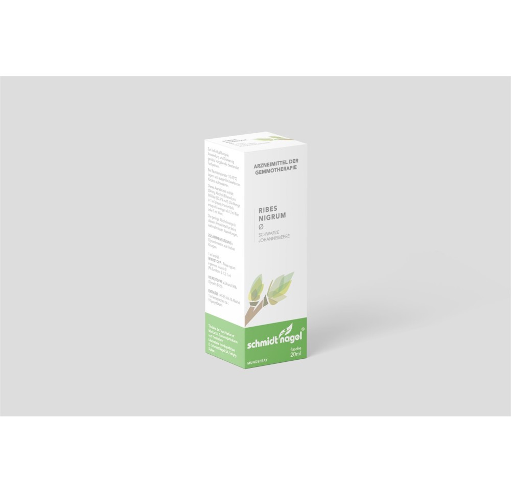 SN ribes nigrum mac glyc TM fl 20 ml
