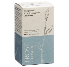 HEIDAK force bourgeons pastilles réconfort 60 pce