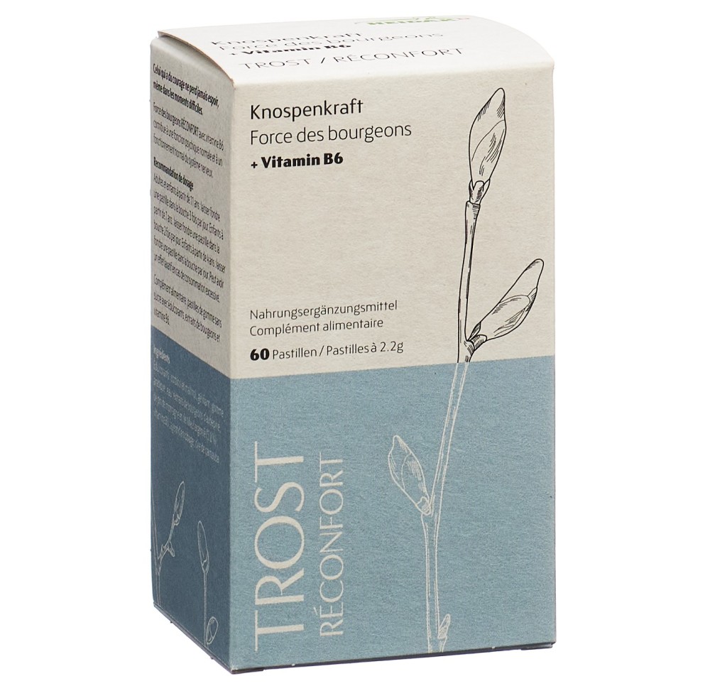 HEIDAK force bourgeons pastilles réconfort 60 pce HEIDAK force bourgeons pastilles réconfort 60 pce